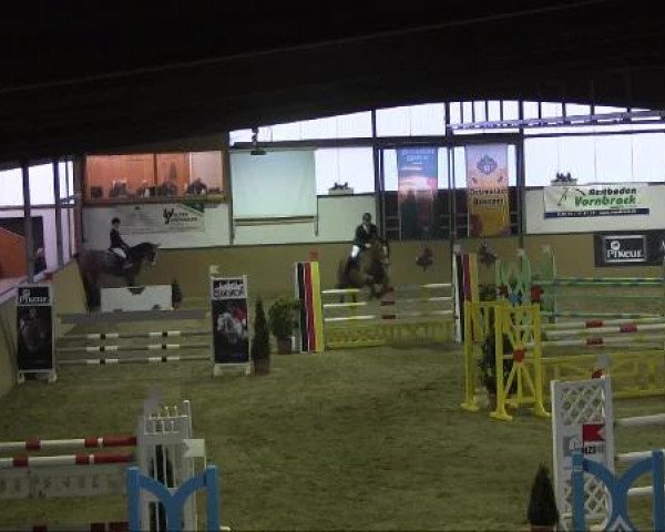 Ravensberger Pferdetage 2013