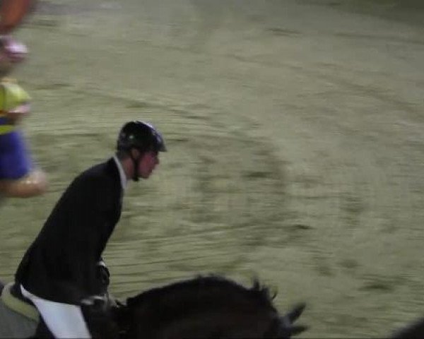 Ravensberger Pferdetage 2013