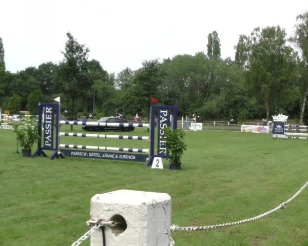 Reitturnier Hannover/Reiterstadion 2024