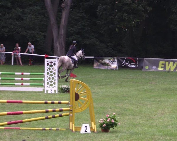 Reitturnier Gorgast 2024
