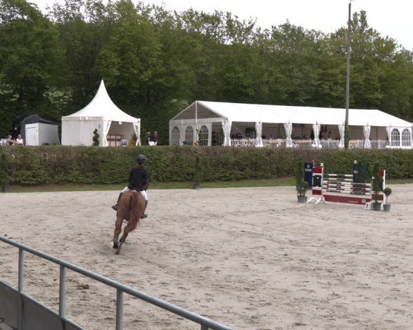 Reitturnier Vlotho-Exter 2024