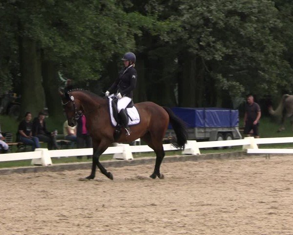 Reitturnier Gallinchen 2024