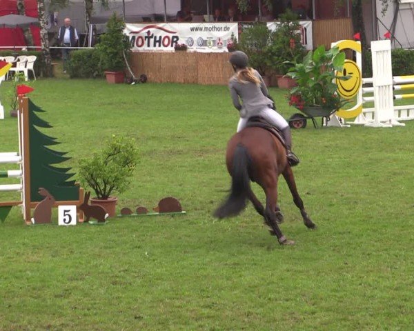 Reitturnier Etingen 2024