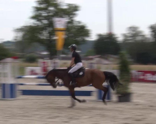 Reitturnier Rot am See Musdorf 2024