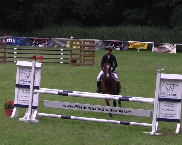 Reitturnier Gorgast 2024