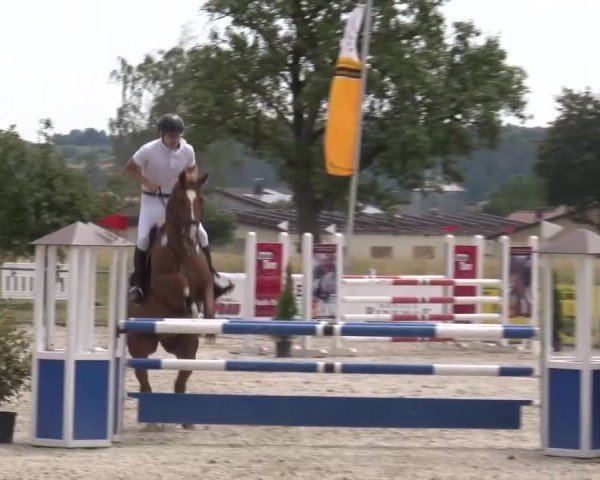 Reitturnier Rot am See Musdorf 2024