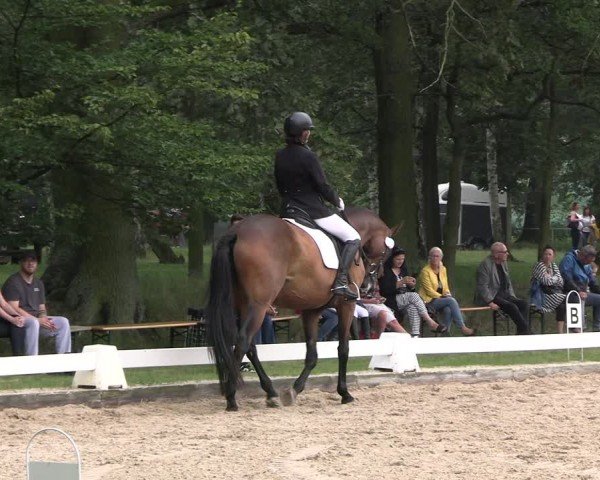 Reitturnier Gallinchen 2024