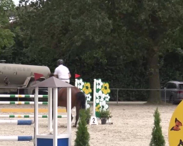 Reitturnier Rot am See Musdorf 2024