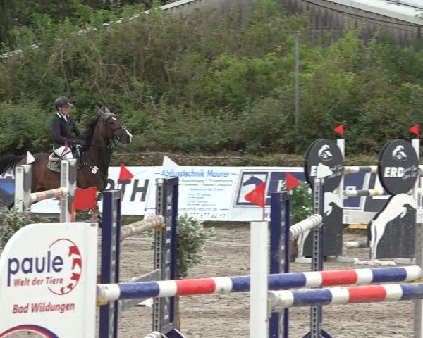 Reitturnier Bad Wildungen 2024