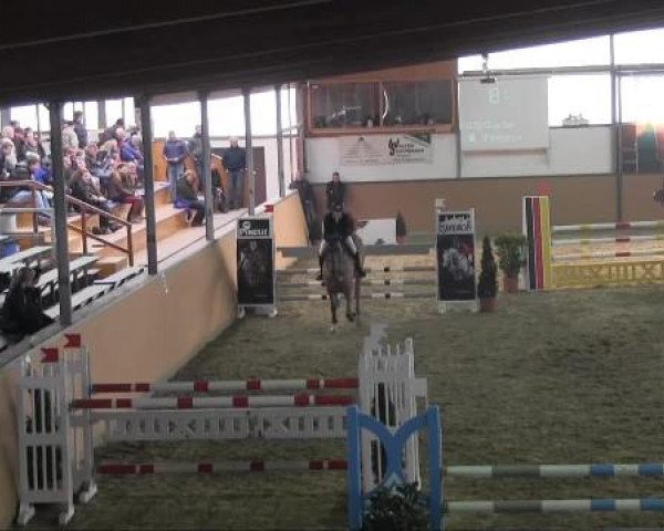 Ravensberger Pferdetage 2013