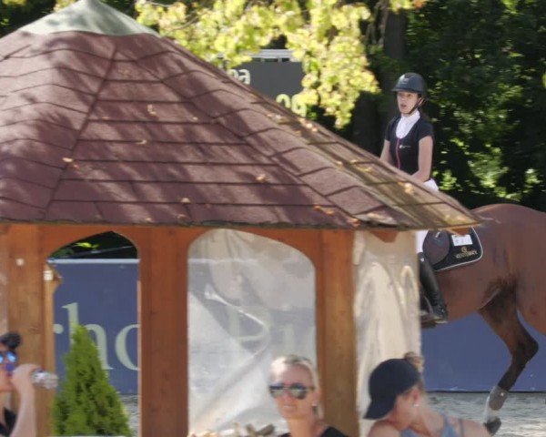 Reitturnier Karlsfeld/Obb. 2024