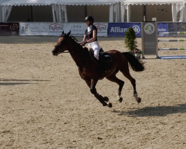 Reitturnier Karlsfeld/Obb. 2024