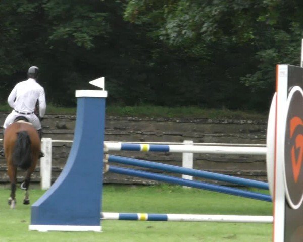 Reitturnier Hannover/Reiterstadion 2024