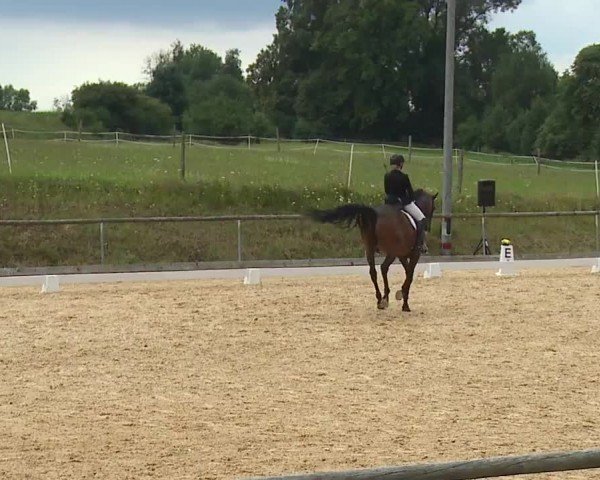Reitturnier Altentrüdingen/Mfr. 2024