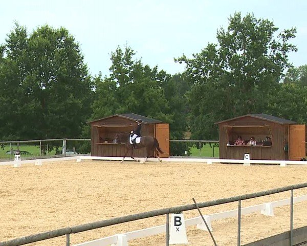 Reitturnier Altentrüdingen/Mfr. 2024
