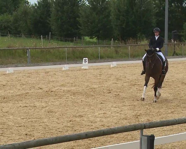 Reitturnier Altentrüdingen/Mfr. 2024