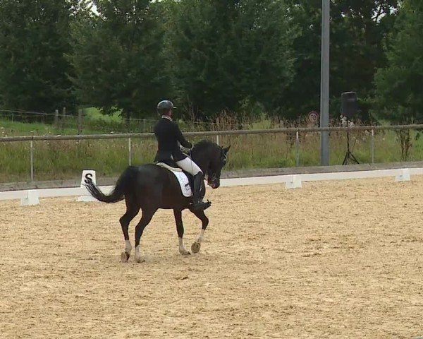 Reitturnier Altentrüdingen/Mfr. 2024