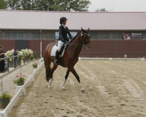 Reitturnier Marienheide-Kempershöhe 2024