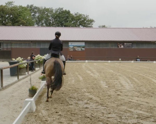 Reitturnier Marienheide-Kempershöhe 2024