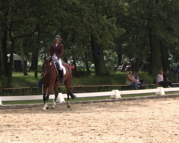 Reitturnier Gallinchen 2024