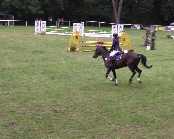 Reitturnier Gorgast 2024