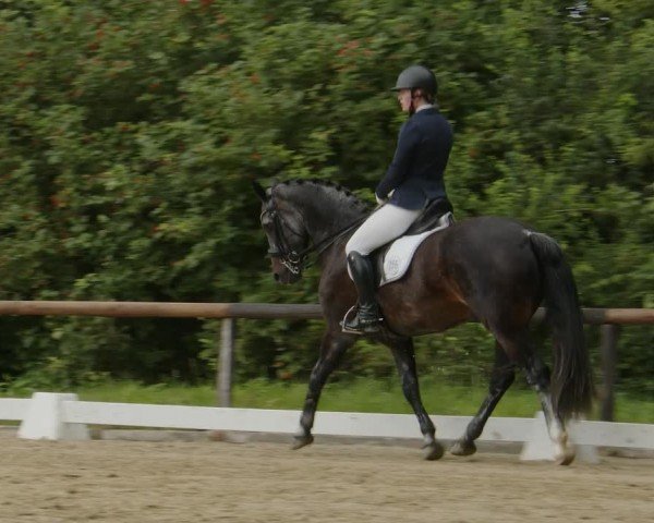 Reitturnier Marienheide-Kempershöhe 2024