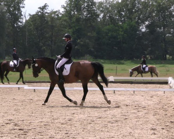 Reitturnier Gallinchen 2024