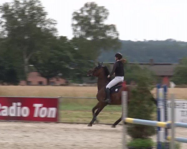 Reitturnier Rot am See Musdorf 2024