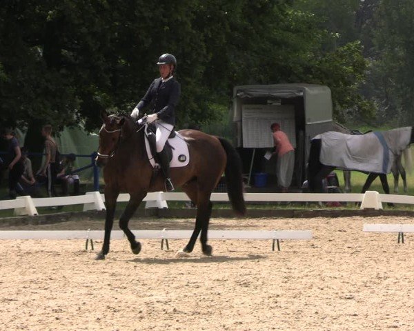 Reitturnier Gallinchen 2024