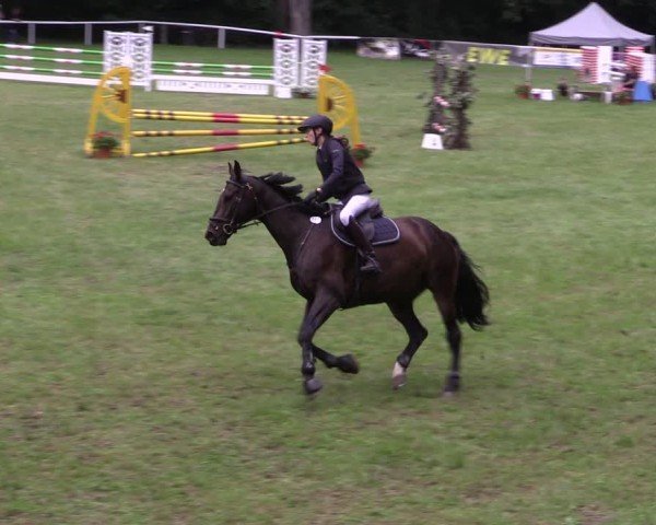 Reitturnier Gorgast 2024