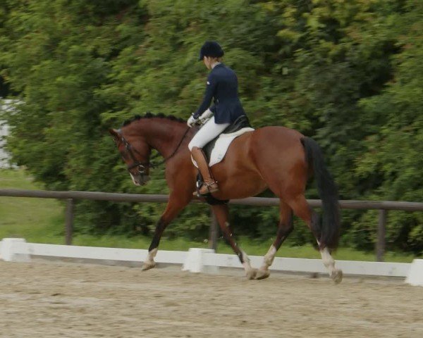 Reitturnier Marienheide-Kempershöhe 2024