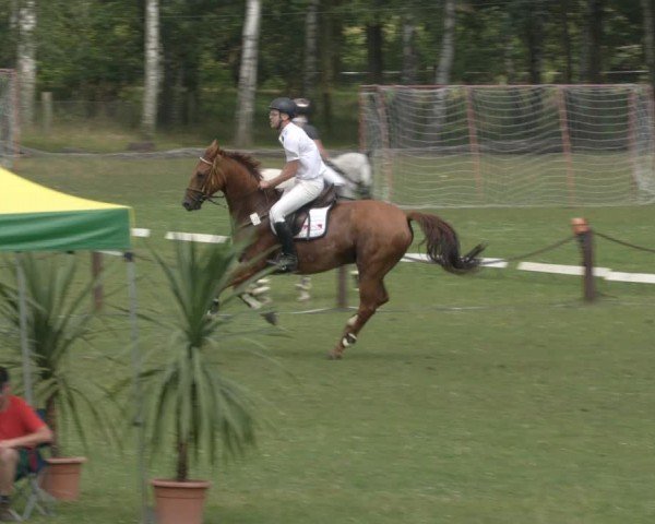Reitturnier Gallinchen 2024