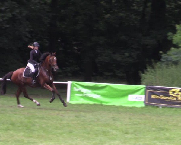 Reitturnier Gorgast 2024