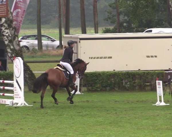 Reitturnier Etingen 2024