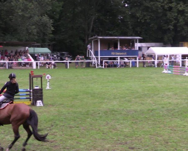 Reitturnier Gorgast 2024
