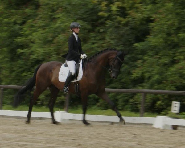 Reitturnier Marienheide-Kempershöhe 2024