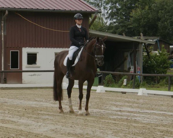 Reitturnier Marienheide-Kempershöhe 2024