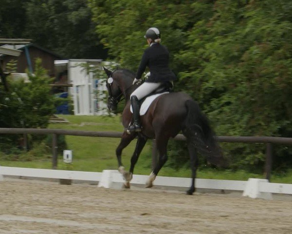 Reitturnier Marienheide-Kempershöhe 2024