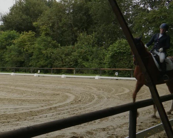 Reitturnier Marienheide-Kempershöhe 2024