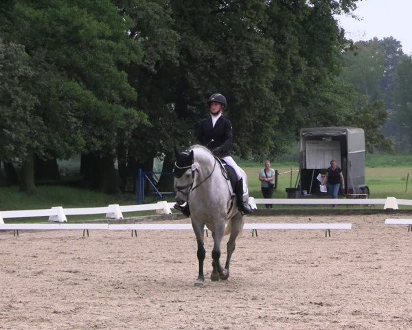 Reitturnier Gallinchen 2024