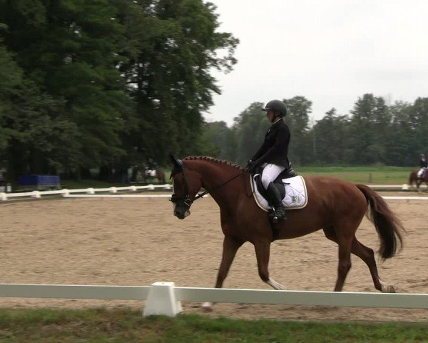 Reitturnier Gallinchen 2024