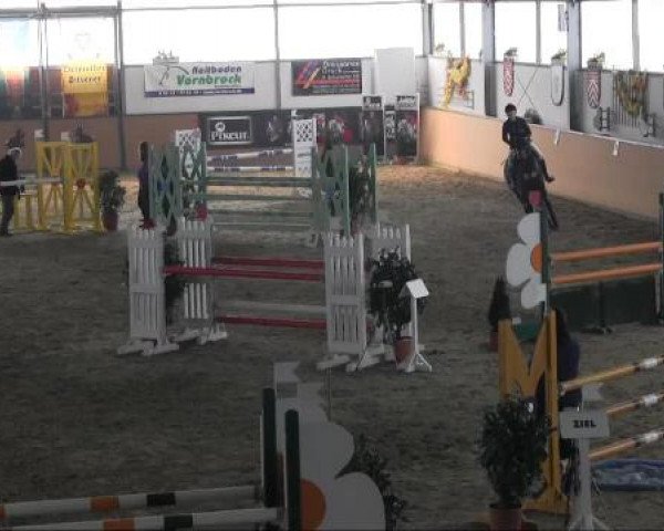 Ravensberger Pferdetage 2013
