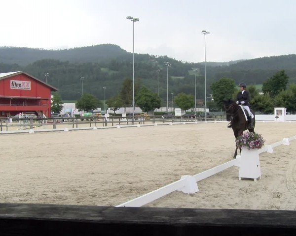 Reitturnier Balsthal 2024