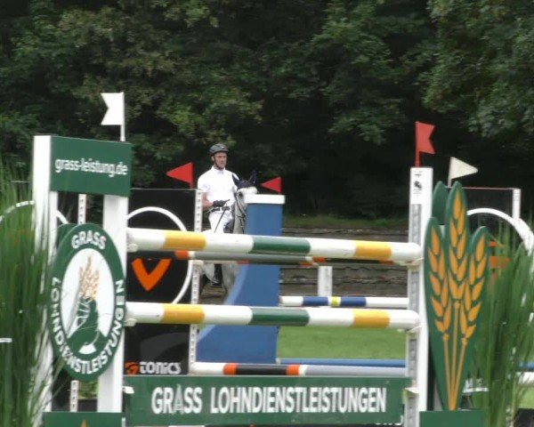 Reitturnier Hannover/Reiterstadion 2024