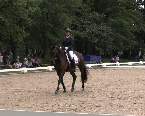 Reitturnier Gallinchen 2024
