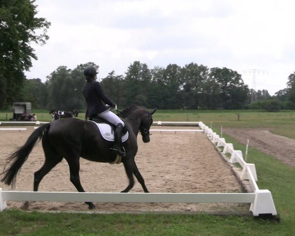 Reitturnier Gallinchen 2024