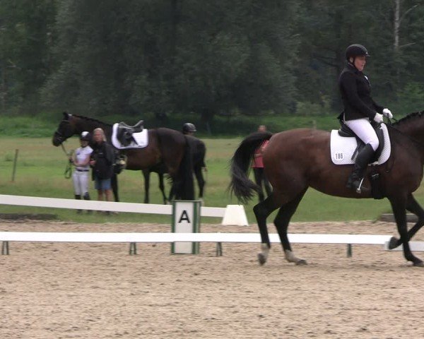 Reitturnier Gallinchen 2024