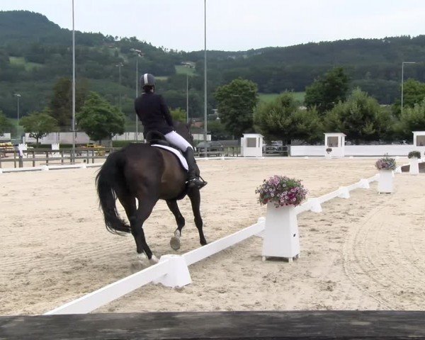 Reitturnier Balsthal 2024