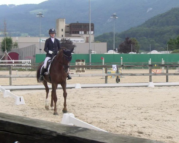 Reitturnier Balsthal 2024