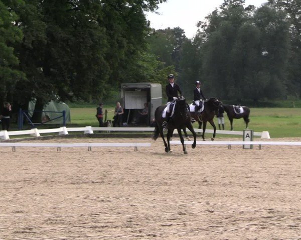 Reitturnier Gallinchen 2024